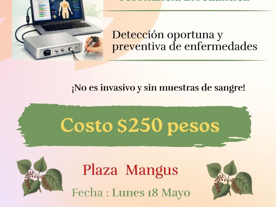 Jornada en el Centro